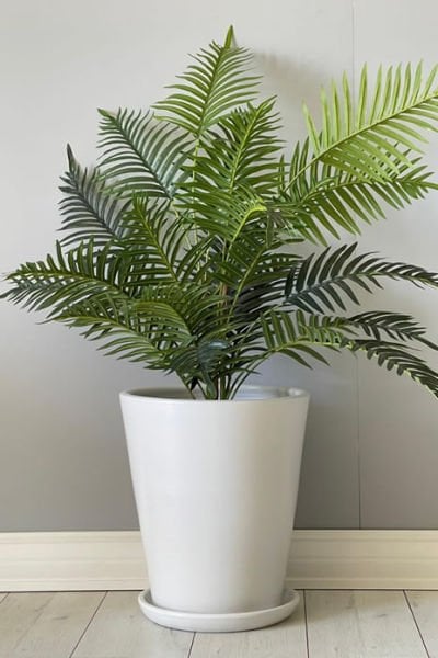 Odka Uzun Konik Saksı Tabaklı Beyaz Renk