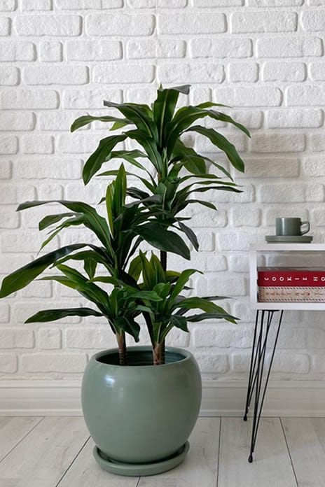 Küre Saksı- Mint Yeşili