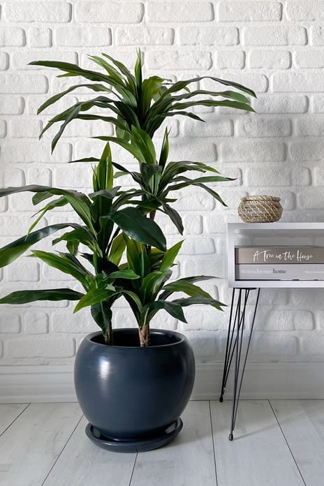 Küre Saksı- Antrasit