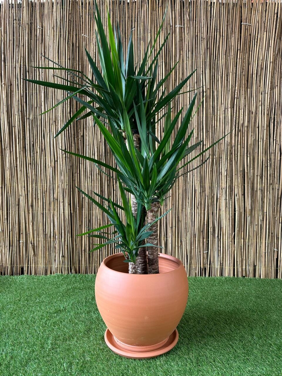 Dış Mekan Saksısı Seçerken Nelere Dikkat Edilmeli?