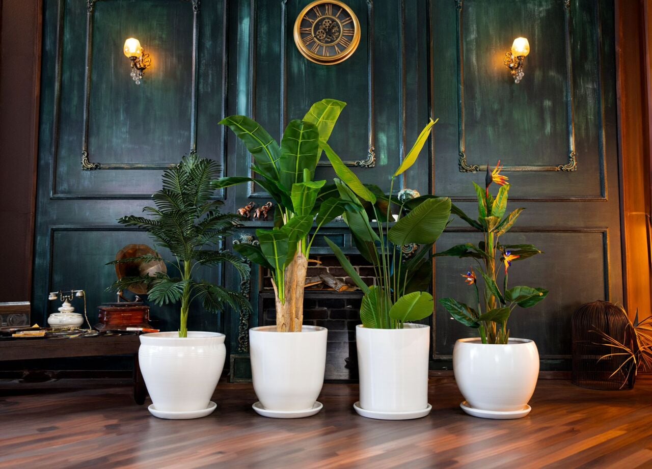 Dekoratif Saksı Satın Al | Modern ve Premium Saksı Modelleri – Odka Saksı