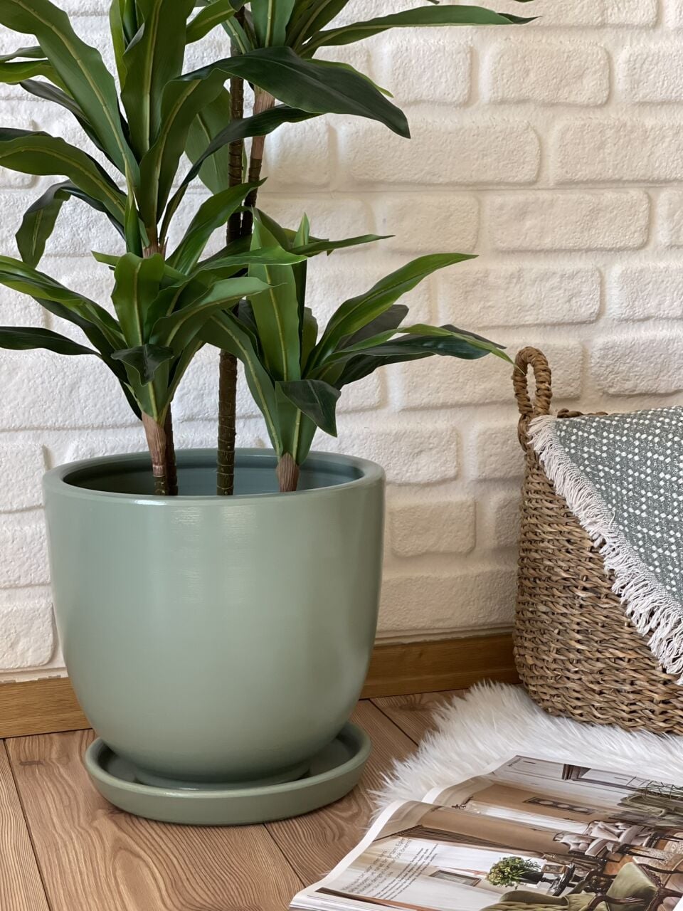 En İyi Saksı Nasıl Seçilir? | Saksı Satın Alma Rehberi | Odka Saksı