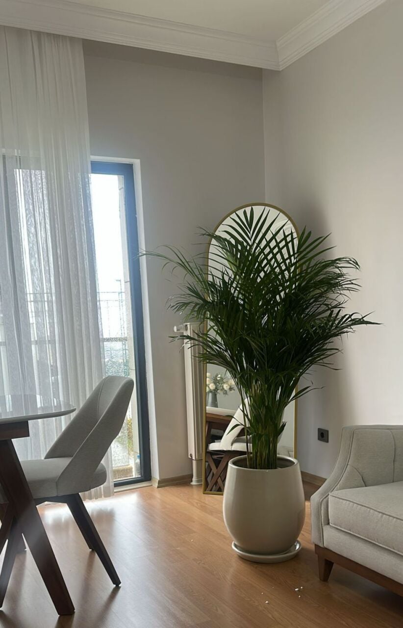 Ev Dekorasyonunda Saksının Gücü: Yaşam Alanlarını Dönüştüren Detay