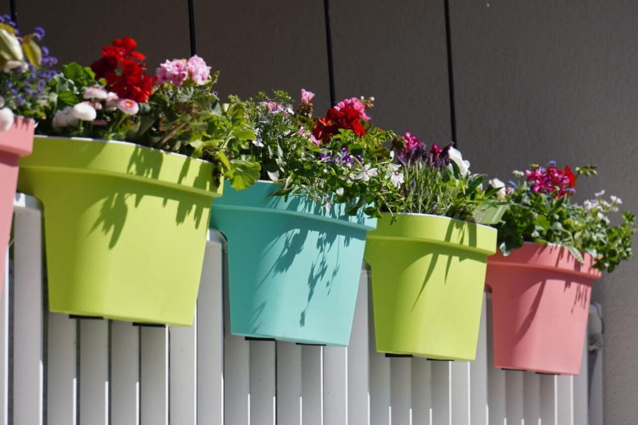 Balkon Saksı Çiçekleri