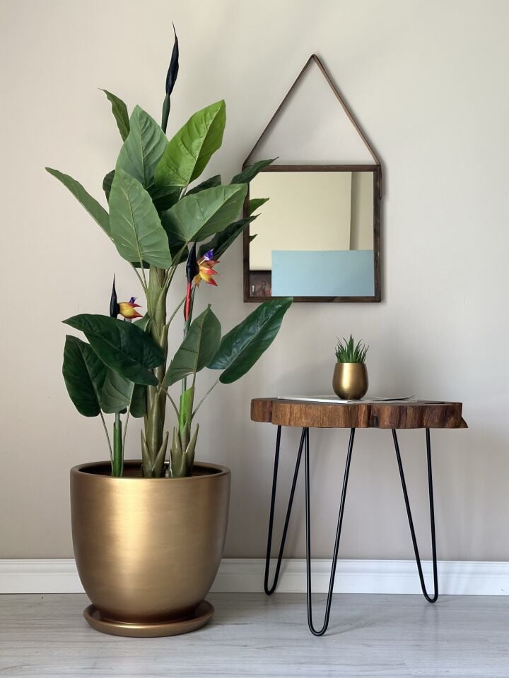 Klasik Saksı Tabaklı-Gold