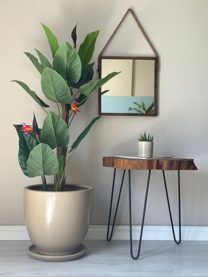 Klasik Saksı Tabaklı-Bej