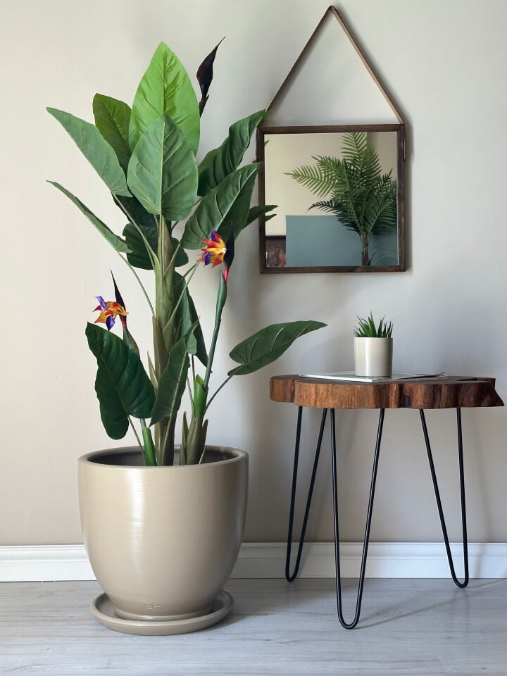 Klasik Saksı Tabaklı-Bej