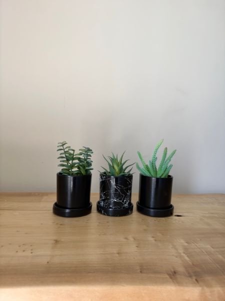 3lü Silindir Kaktüs Seti Tabaklı Yükseklik 10cm X Çap 10cm
