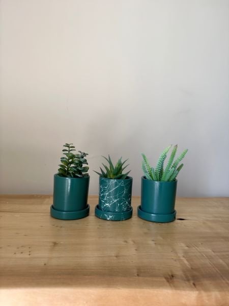 3lü Silindir Kaktüs Seti Tabaklı Yükseklik 10cm X Çap 10cm