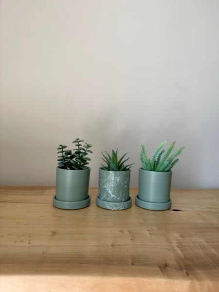 3lü Silindir Kaktüs Seti Tabaklı Yükseklik 10cm X Çap 10cm