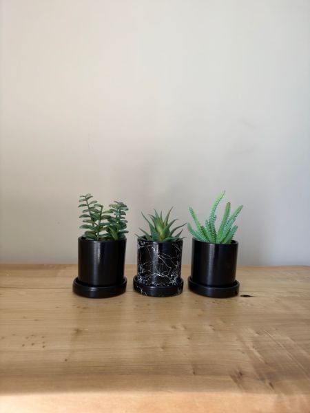 3lü Silindir Kaktüs Seti Tabaklı Yükseklik 10cm X Çap 10cm