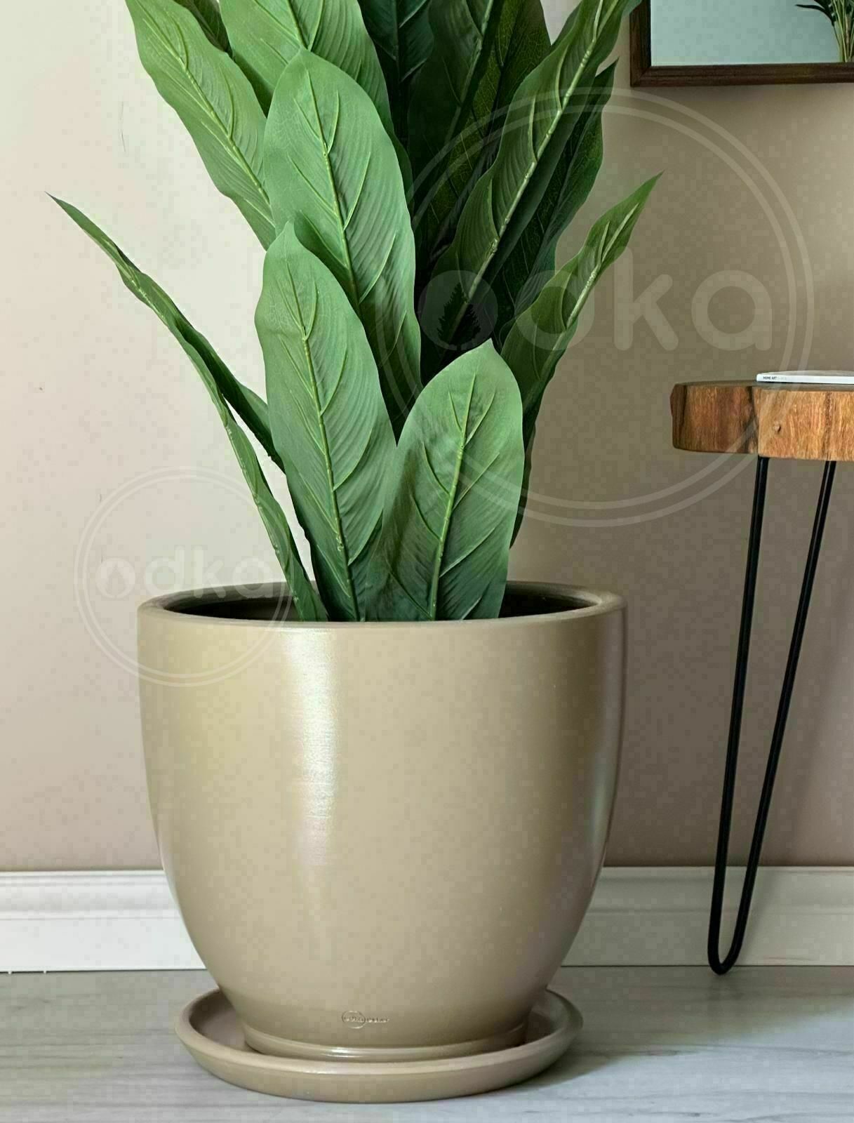 10 Lt Saksı Klasik Saksı Tabaklı Yükseklik 23cm Çap 25cm Bej