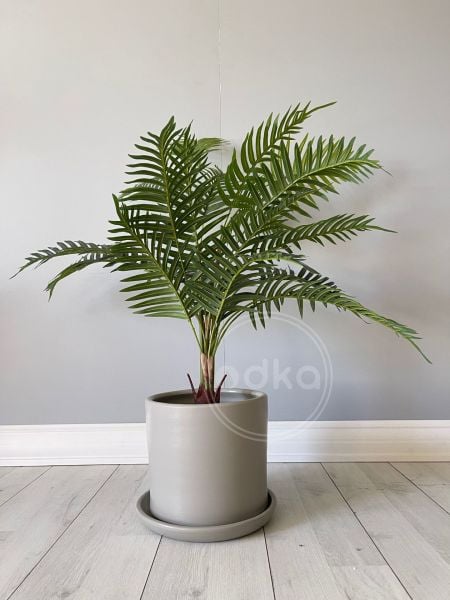 10 Litre Silindir Saksı Tabaklı Yükseklik 18cm Çap 20cm