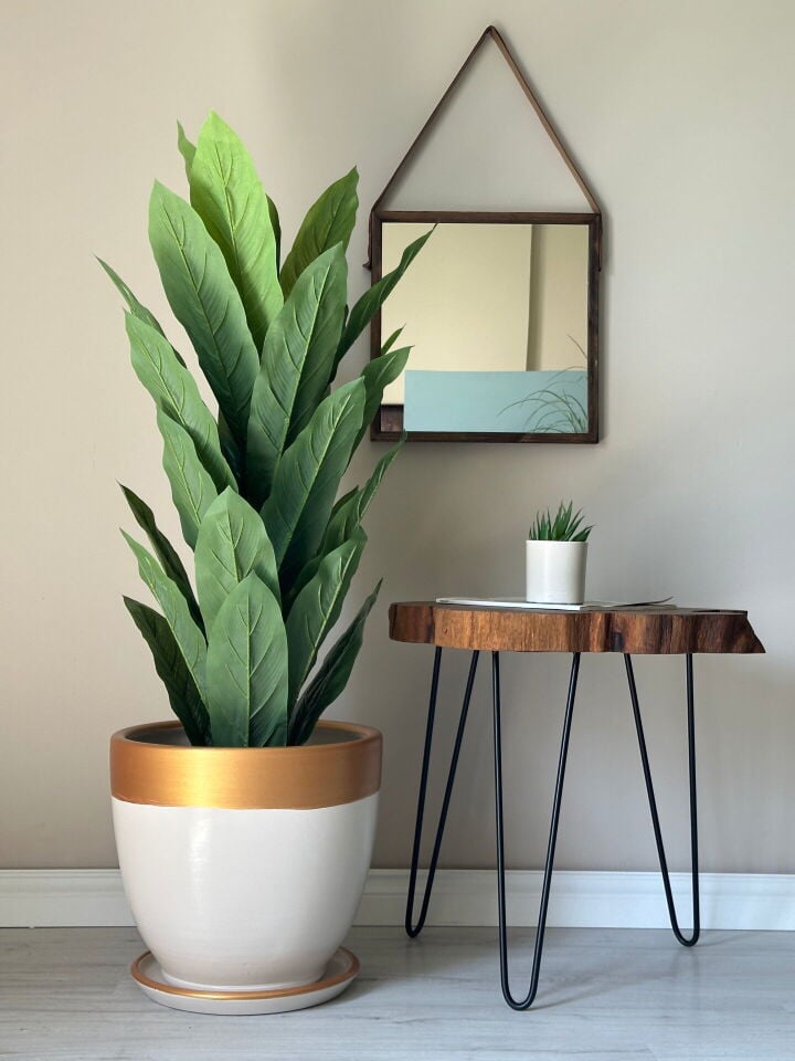 Lily Klasik Saksı Tabaklı Yükseklik 30cm Çap 32cm