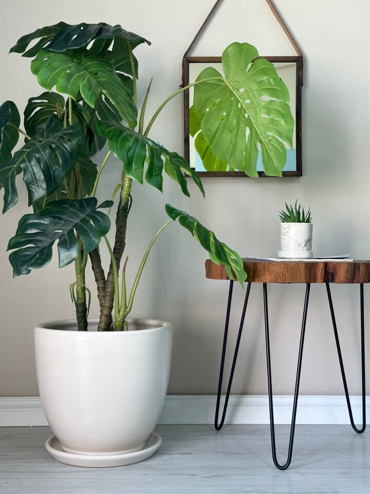 60 Litre Büyük Boy Klasik Saksı Tabaklı Yükseklik 46cm Çap 46cm Ekru