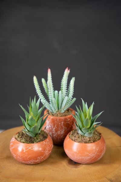 Yapay Bitkili 3lü Saksı Seti (Masa üzeri için uygundur)