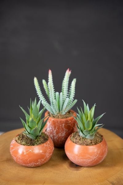 Yapay Bitkili 3lü Saksı Seti (Masa üzeri için uygundur)