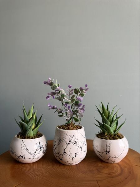 Yapay Bitkili 3lü Saksı Seti (Masa üzeri için uygundur)