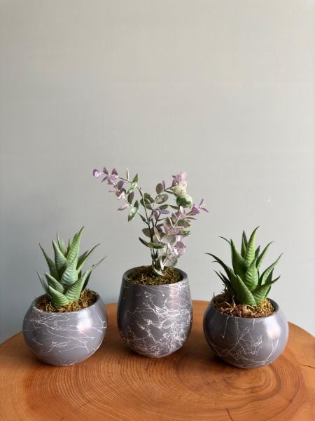 Yapay Bitkili 3lü Saksı Seti (Masa üzeri için uygundur)