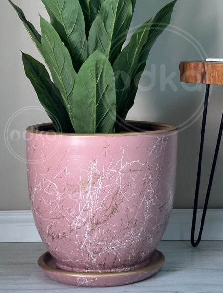 Klasik Saksı Lily- Pembe Beyaz Gold