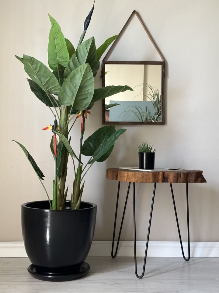 Klasik Saksı Tabaklı-Siyah