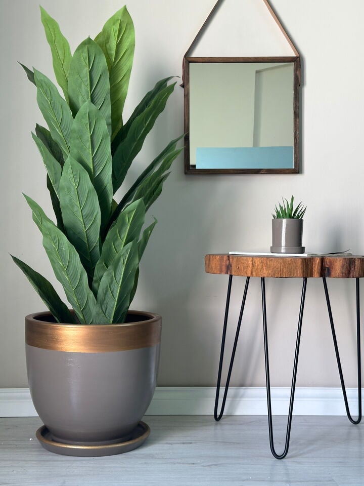 Lily Klasik Saksı Tabaklı Yükseklik 30cm Çap 32cm