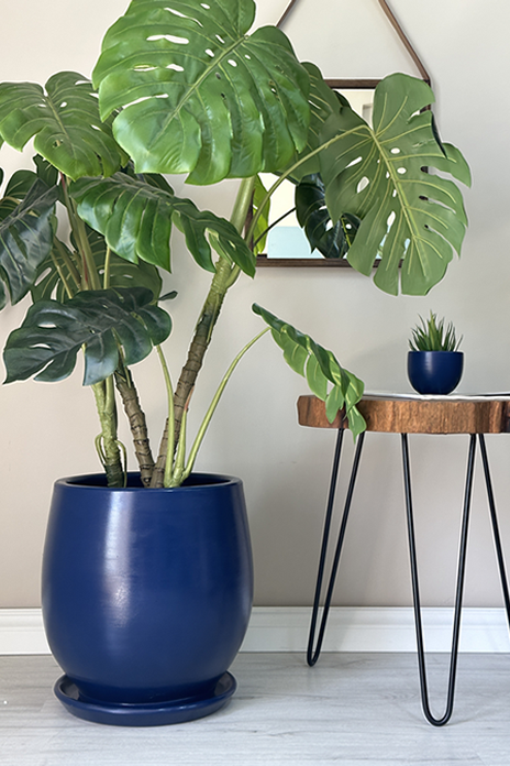 Armut Saksı - Gece Mavisi