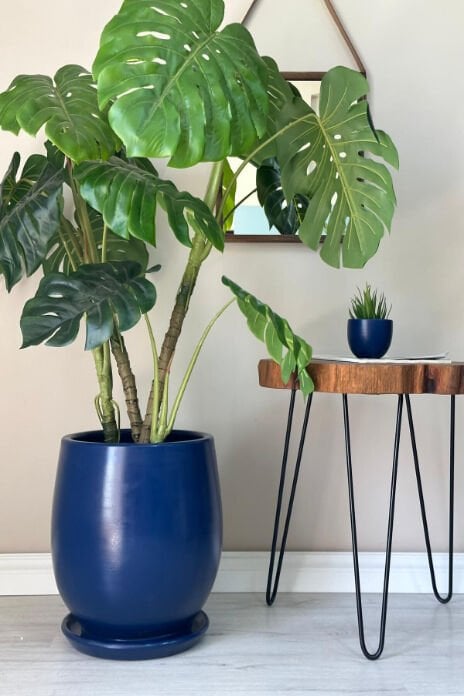 Armut Saksı Tabaklı - Gece Mavisi