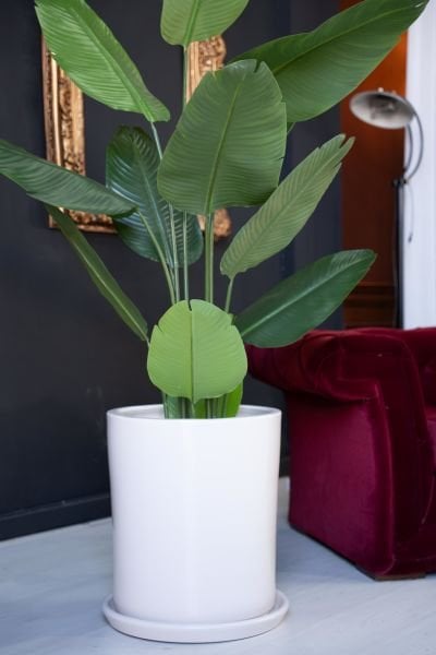 60 Litre Silindir Büyük Boy Saksı Tabaklı Yükseklik:50cm Çap:40cm