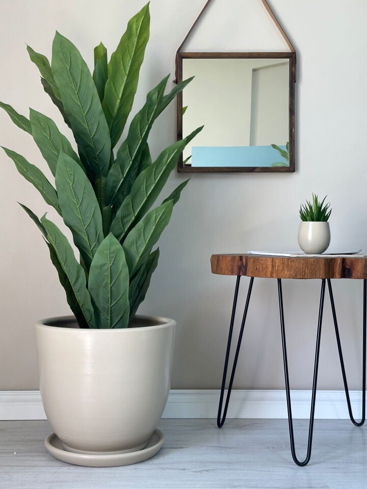 Klasik Saksı Tabaklı Yükseklik 30cm Çap 32cm