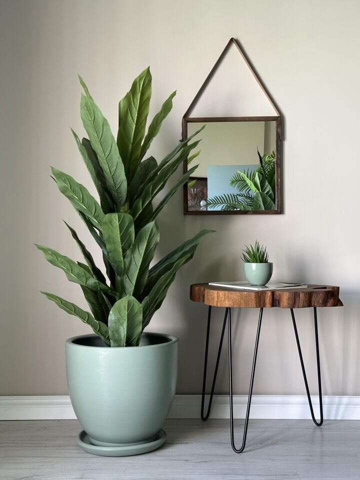 Klasik Saksı Tabaklı Yükseklik 30cm Çap 32cm