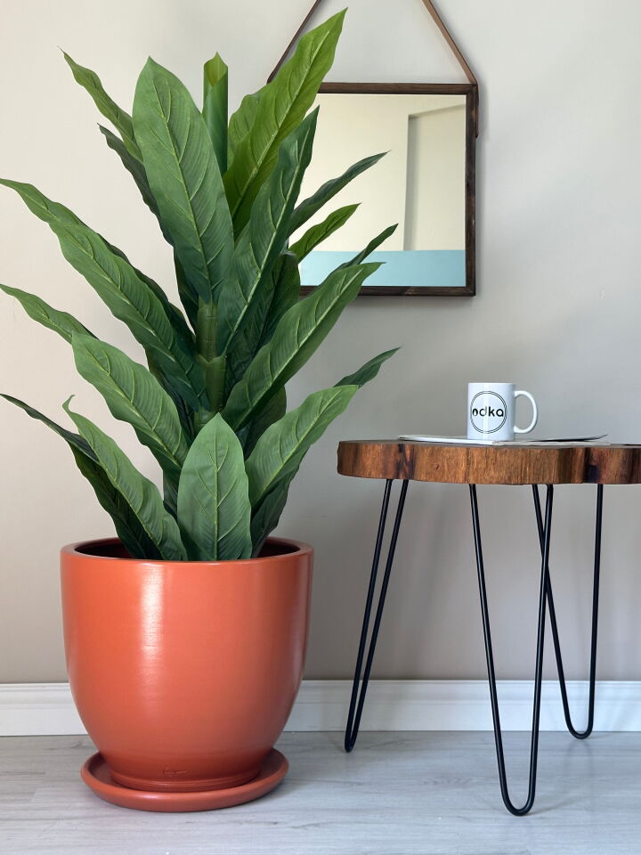 Klasik Saksı Tabaklı Yükseklik 30cm Çap 32cm Kiremit (Naturel)