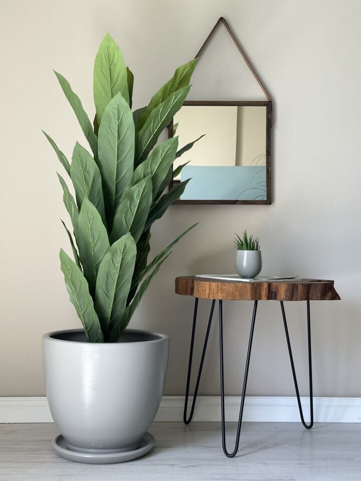 Klasik Saksı Tabaklı Yükseklik 30cm Çap 32cm