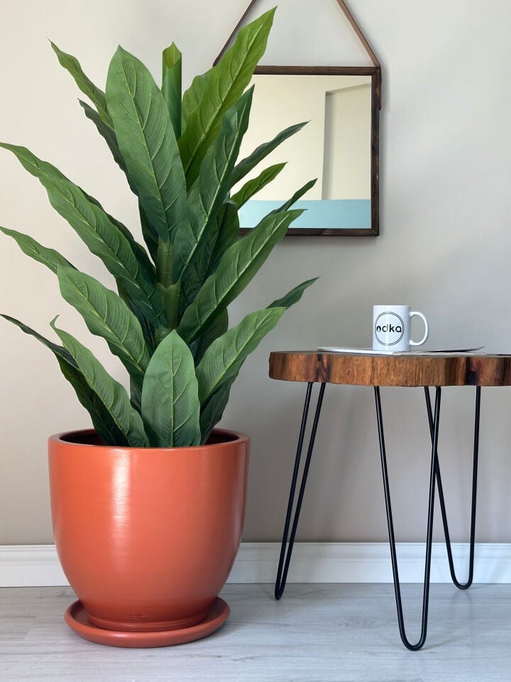 Klasik Saksı Tabaklı Yükseklik 30cm Çap 32cm Kiremit (Naturel)