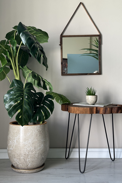 Armut Saksı Tabaklı Lily- Taş Beyaz Gold