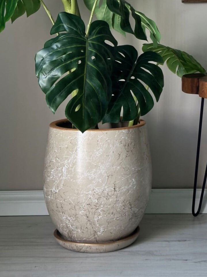 Armut Saksı Tabaklı Lily- Taş Beyaz Gold