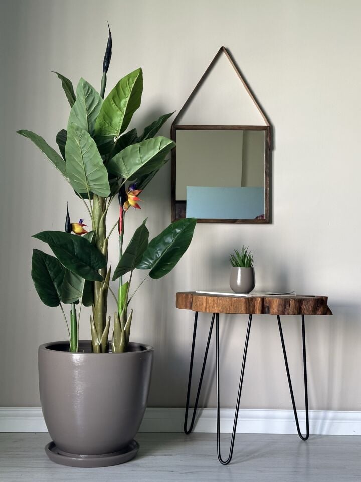 Klasik Saksı Tabaklı-Vizon