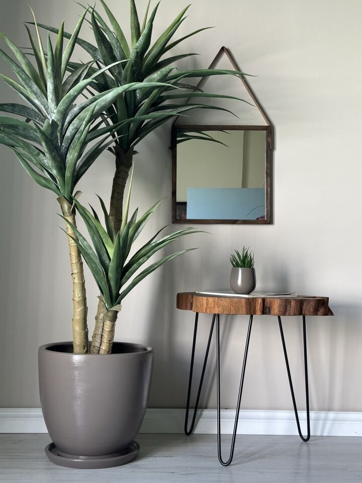 Klasik Saksı Tabaklı-Vizon