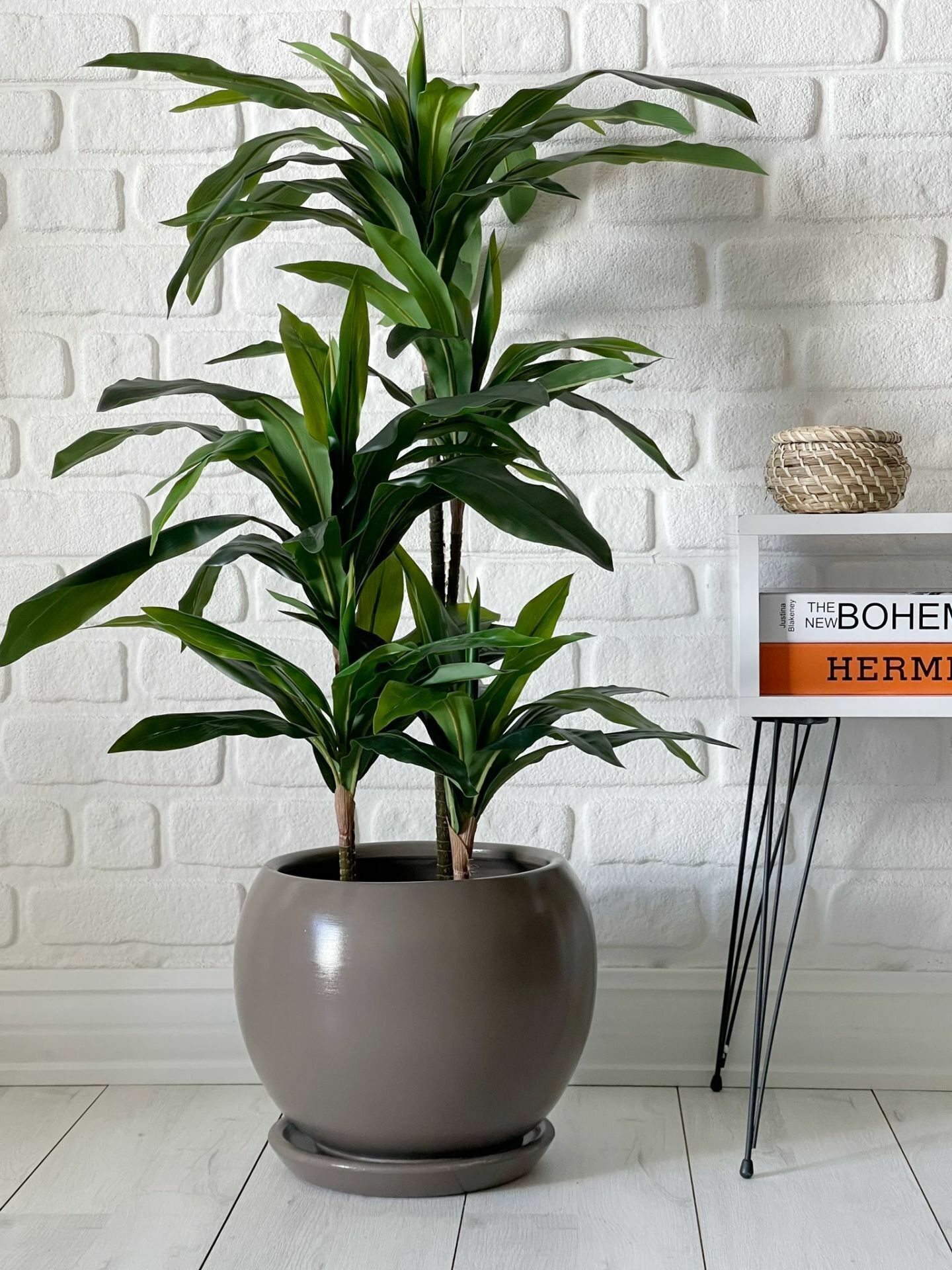Küre Saksı Tabaklı Yükseklik 27cm Çap 27cm Vizon