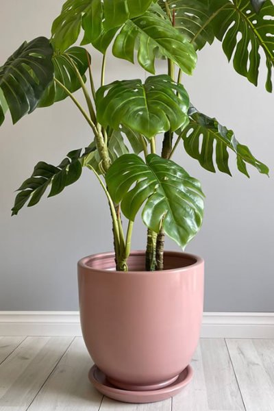 Klasik Saksı Tabaklı-Pembe Yükseklik: 38cm Çap: 40cm