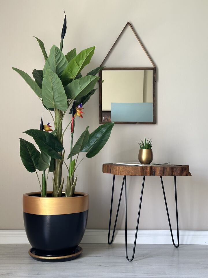 Klasik Saksı Tabaklı-Siyah Gold