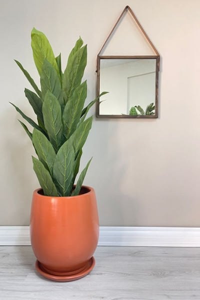 Armut Saksı -Kiremit