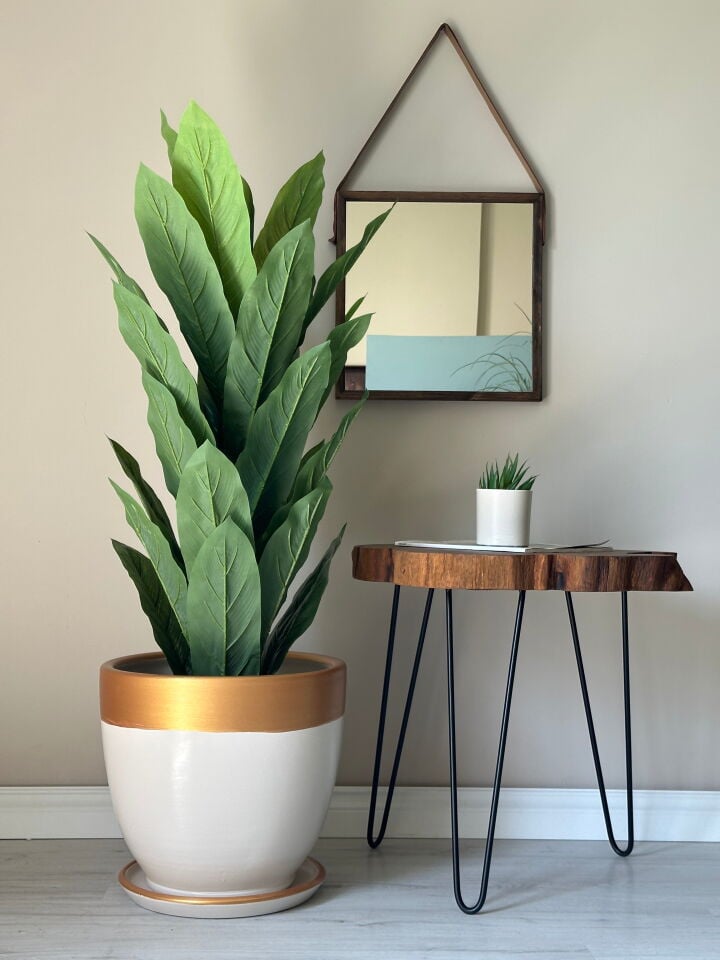 Klasik Saksı Tabaklı-Ekru Gold