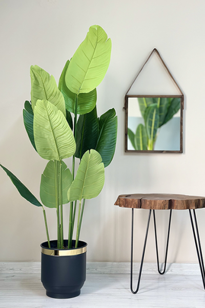 Yapay Bitki Starliçe 160cm Metal Saksılı Antrasit Gold