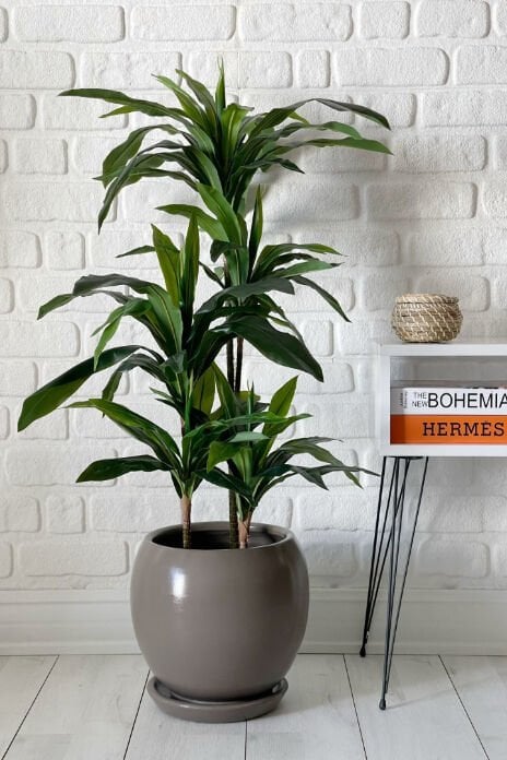 Küre Saksı Tabaklı Yükseklik 27cm Çap 27cm