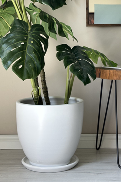 Klasik Saksı-Beyaz H:23cm X Çap:25cm (10 Litre)