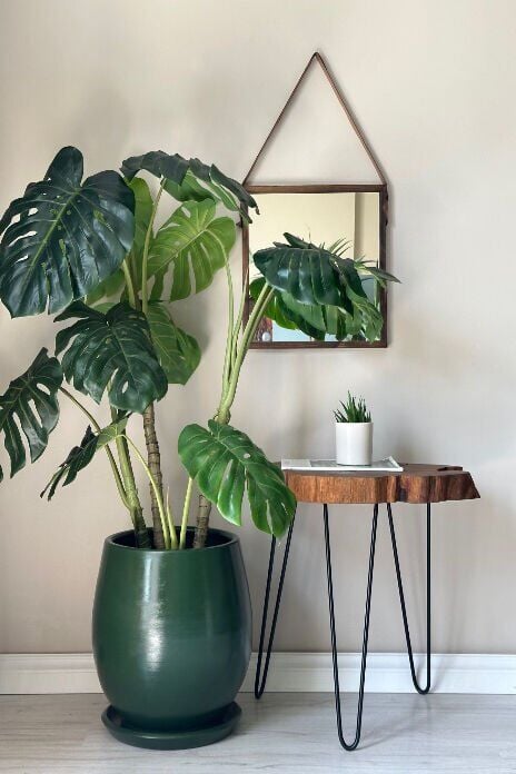 Armut Saksı Tabaklı Yükseklik:32cm Çap:26cm