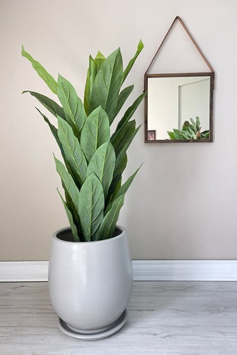 Armut Saksı -Granit