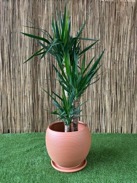 Küre Çizgili Doğal El yapımı Terracotta Çömlek Saksı Tabaklı