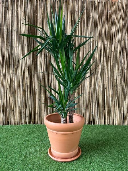 İtalyan Modeli Doğal El yapımı Terracotta Çömlek Saksı Tabaklı